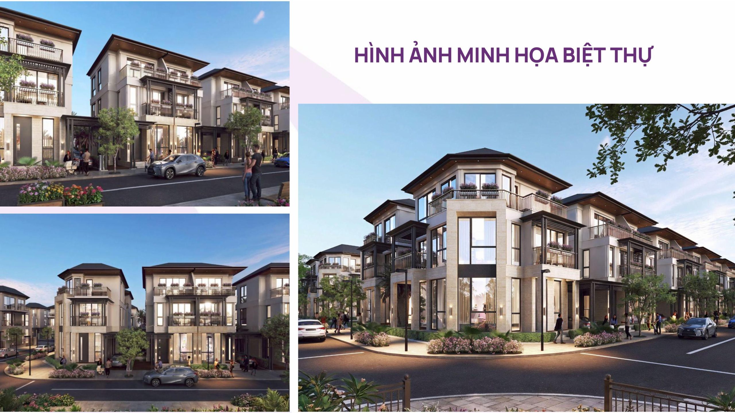 Kiến trúc Modern Tropical tại 313 căn biệt thự phân khu An Phú